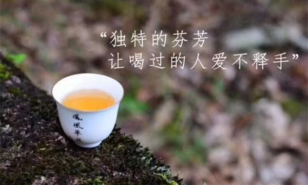 舌尖上的好茶｜ “品名茶，赏名作”，欢迎您17日起参加品茶周活动
